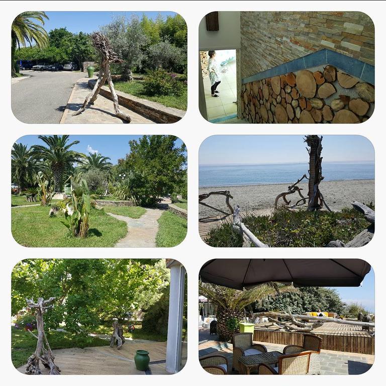Levolle Marine Poggio Mezzana Exterior foto